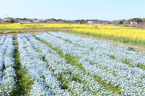 休耕好處